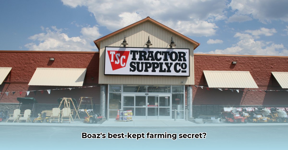tractor-supply-boaz-alabama